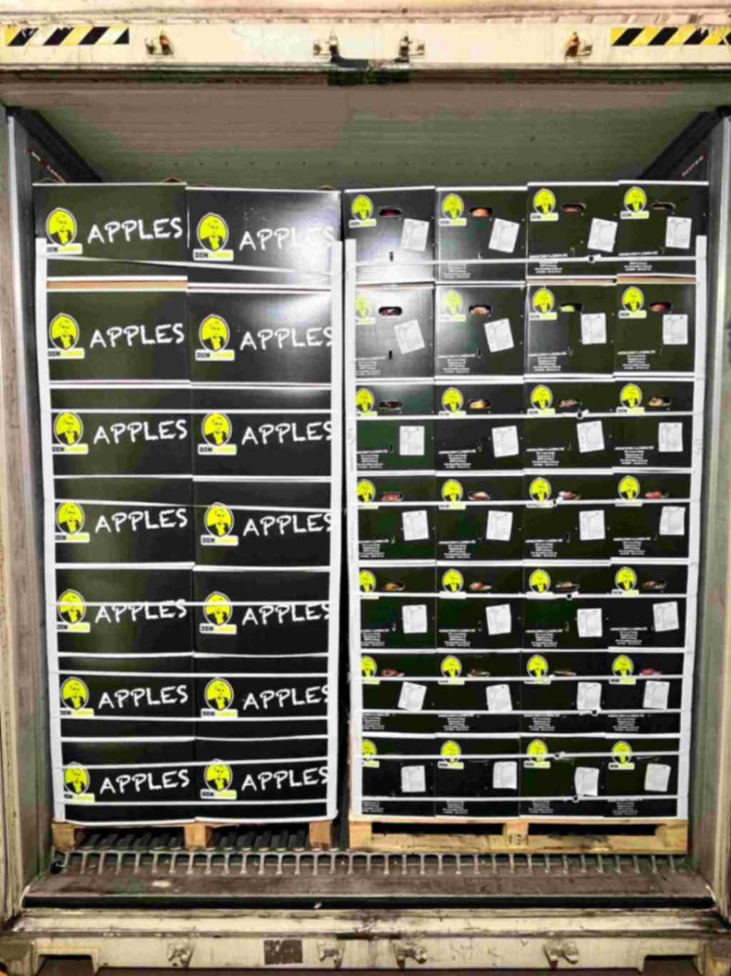 Apple export logistics Poland