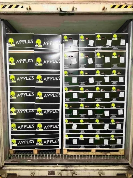 Logistique export pommes Pologne