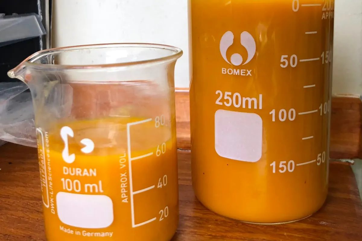Alphonso mango pulp sample in laboratory beakers – colour and consistency