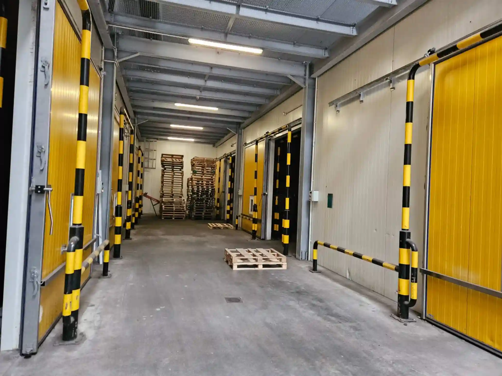 Cold storage and product availability in Poland